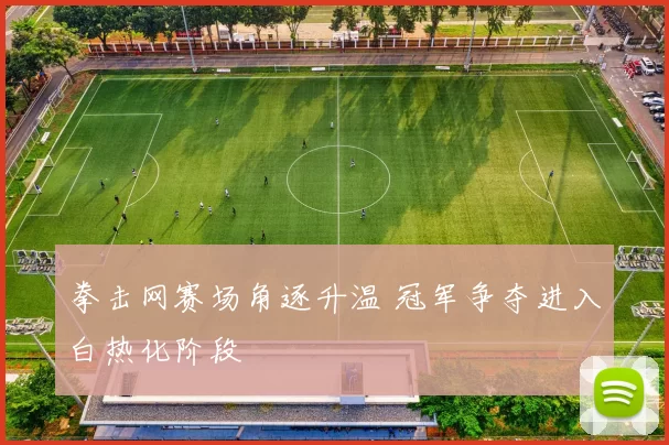 拳击网赛场角逐升温 冠军争夺进入白热化阶段