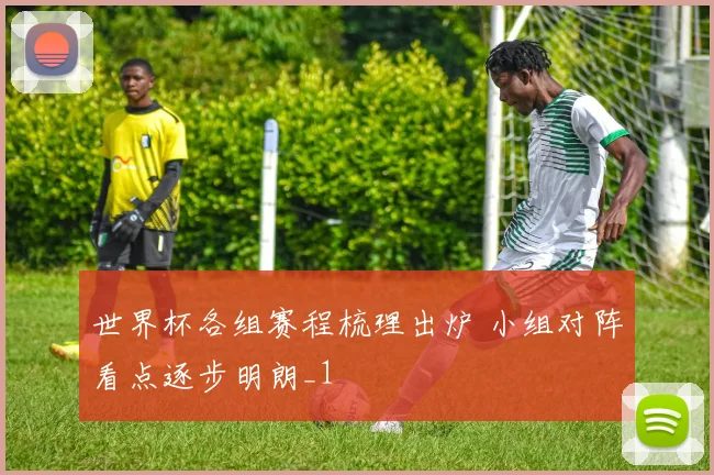 世界杯各组赛程梳理出炉 小组对阵看点逐步明朗_1